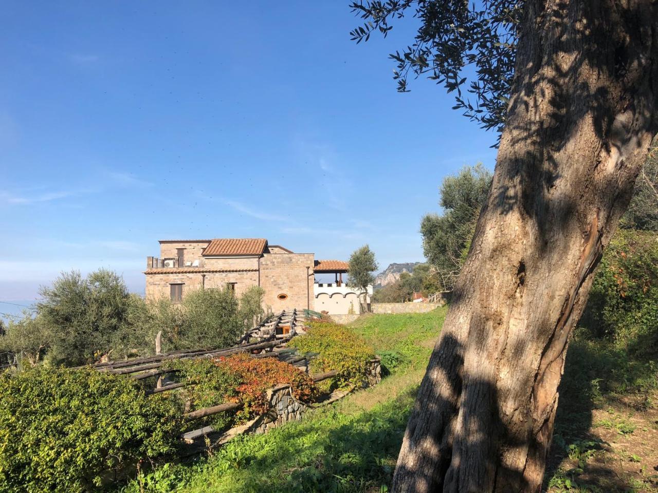 Montebosco Luxury Country House Piano di Sorrento Exterior foto